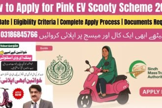 How to Fill Sindh Ev Scooty Ballot Form?