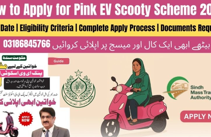 How to Fill Sindh Ev Scooty Ballot Form?