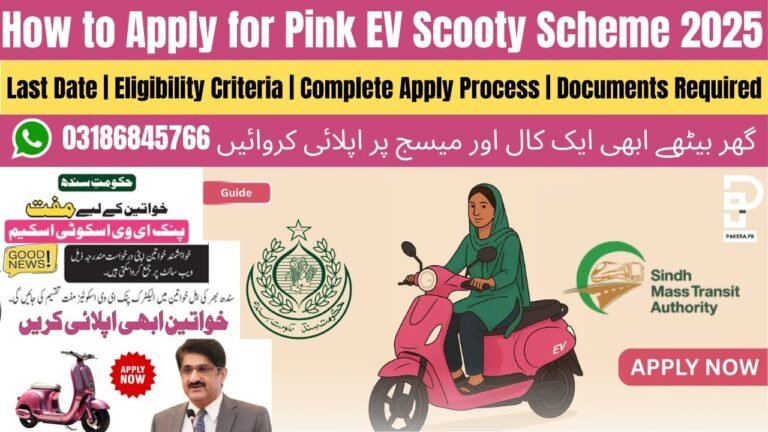 How to Fill Sindh Ev Scooty Ballot Form?